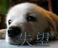 开云体育下载-佛罗伦萨主场失利，球迷情绪低落失望的简单介绍