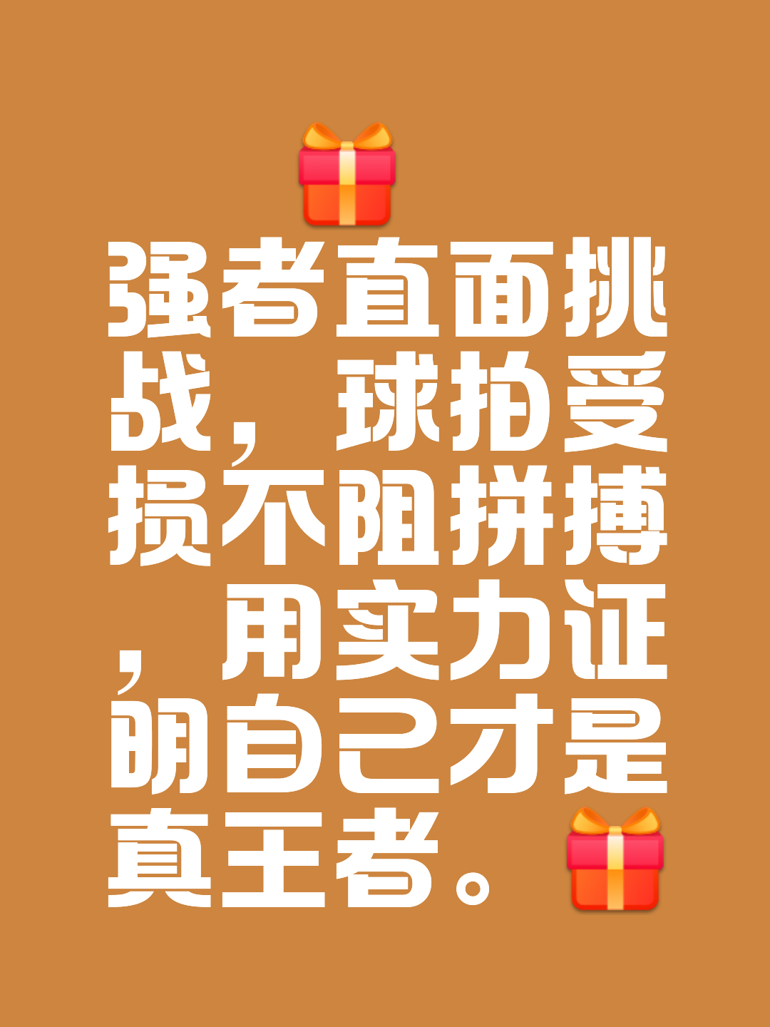 冠军继续照亮赛场，强者闪耀实力获得掌声的简单介绍