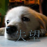 佛罗伦萨主场失利，球迷情绪低落失望的简单介绍