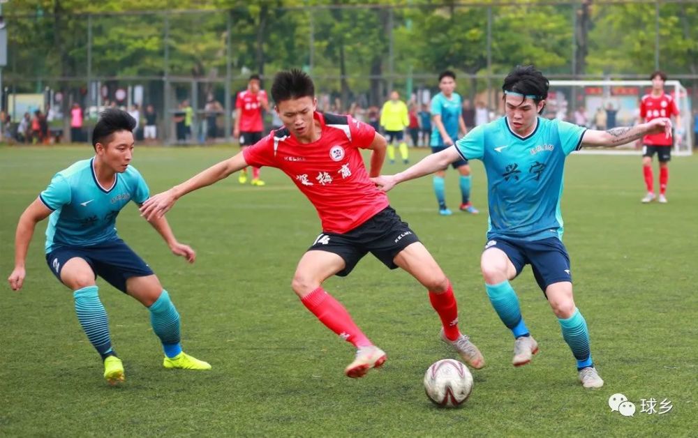 关于步行者主场胜热火，独占鳌头的信息